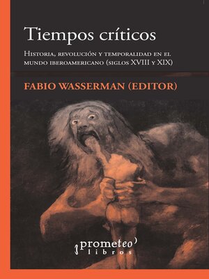 cover image of Tiempos críticos